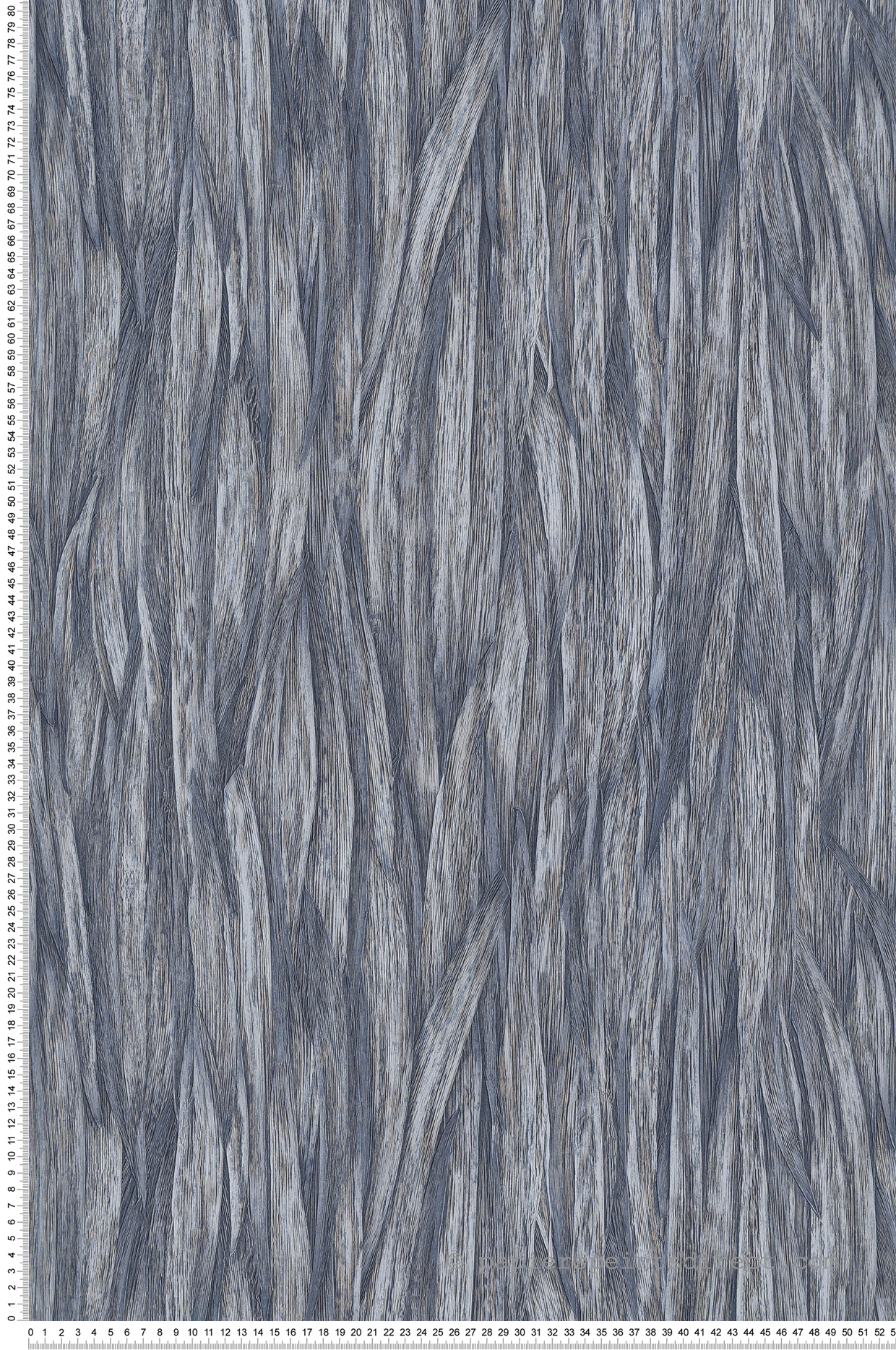 Papier peint Feuillage Aloes bleu marine - Folium de Montecolino | Réf. MC-FO17904