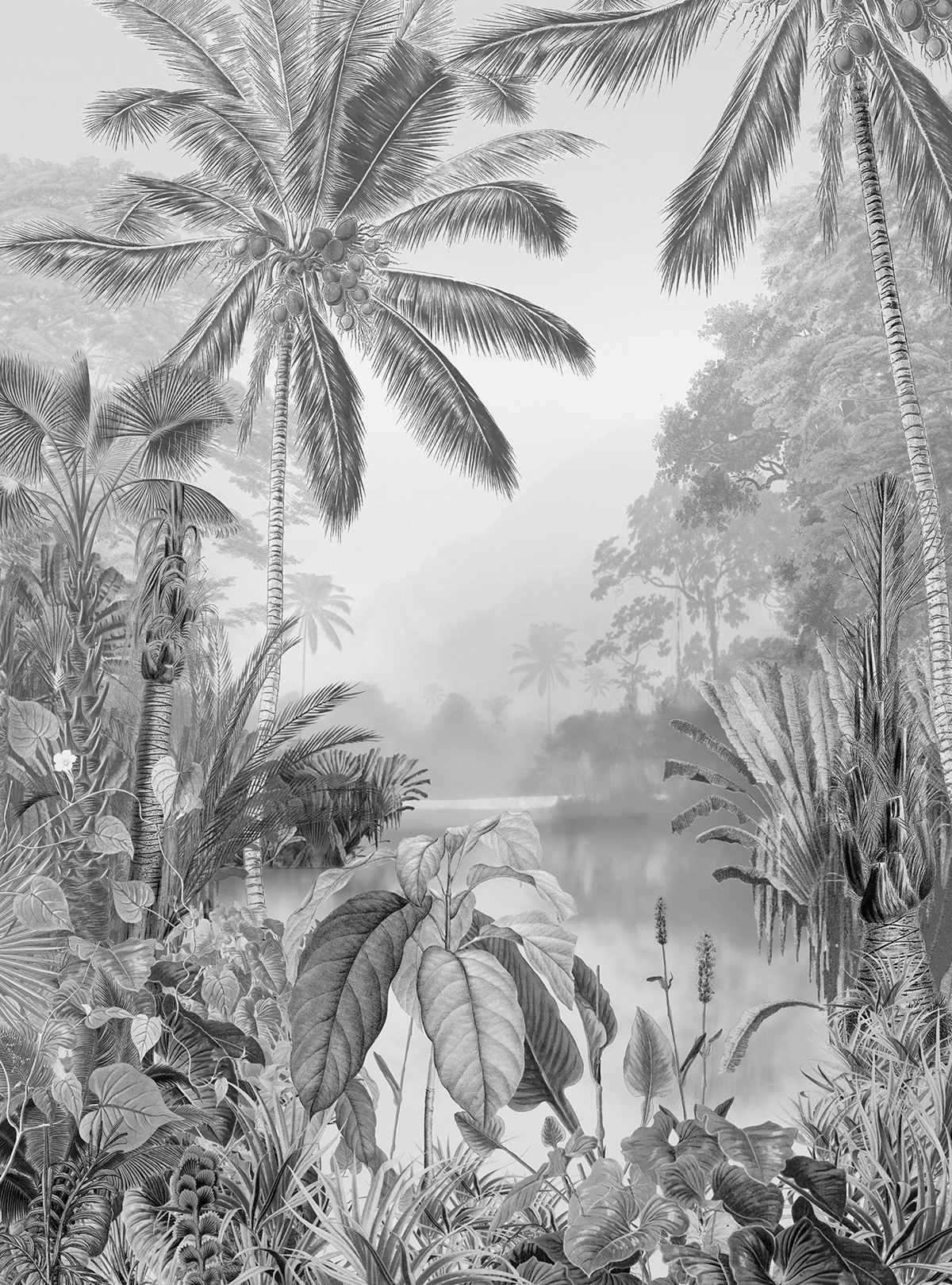 Papier peint palmier panoramique Lac Tropical Black & White - Papier peint Komar RAW