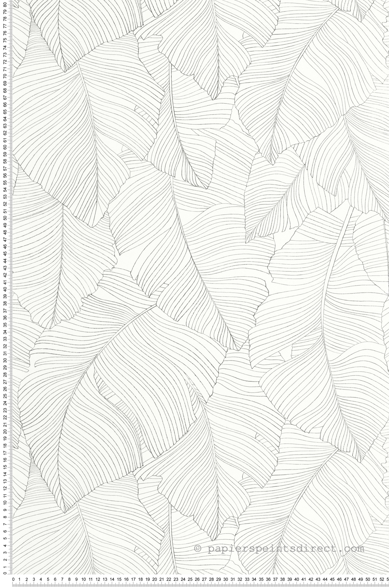 Papier peint Feuillage Vegetalia noir et blanc - Moonlight 3 de Casélio | Réf. MNL3106500929