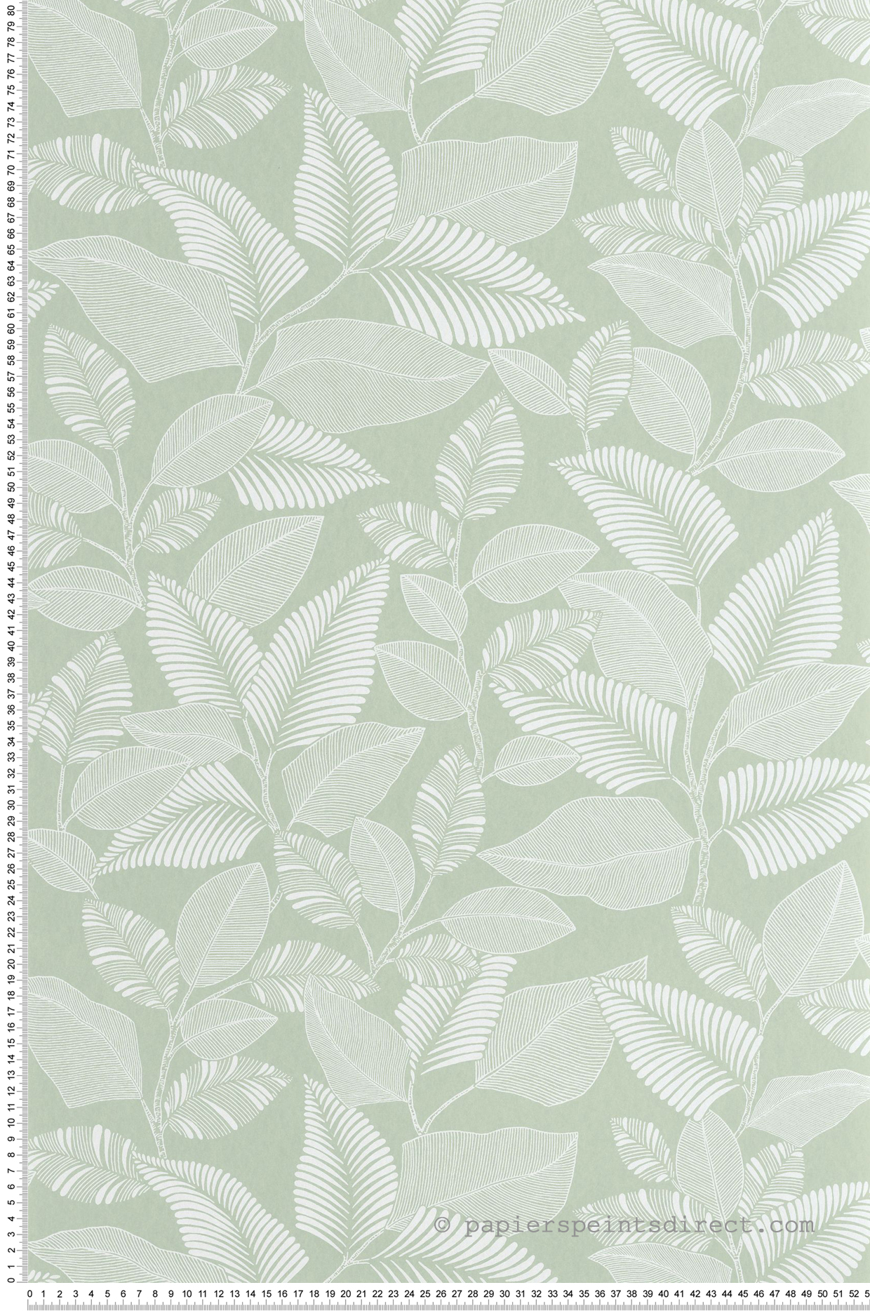 Papier peint Feuillage Paraty vert amande - Rio de Casadéco | Réf. RIOC201807244