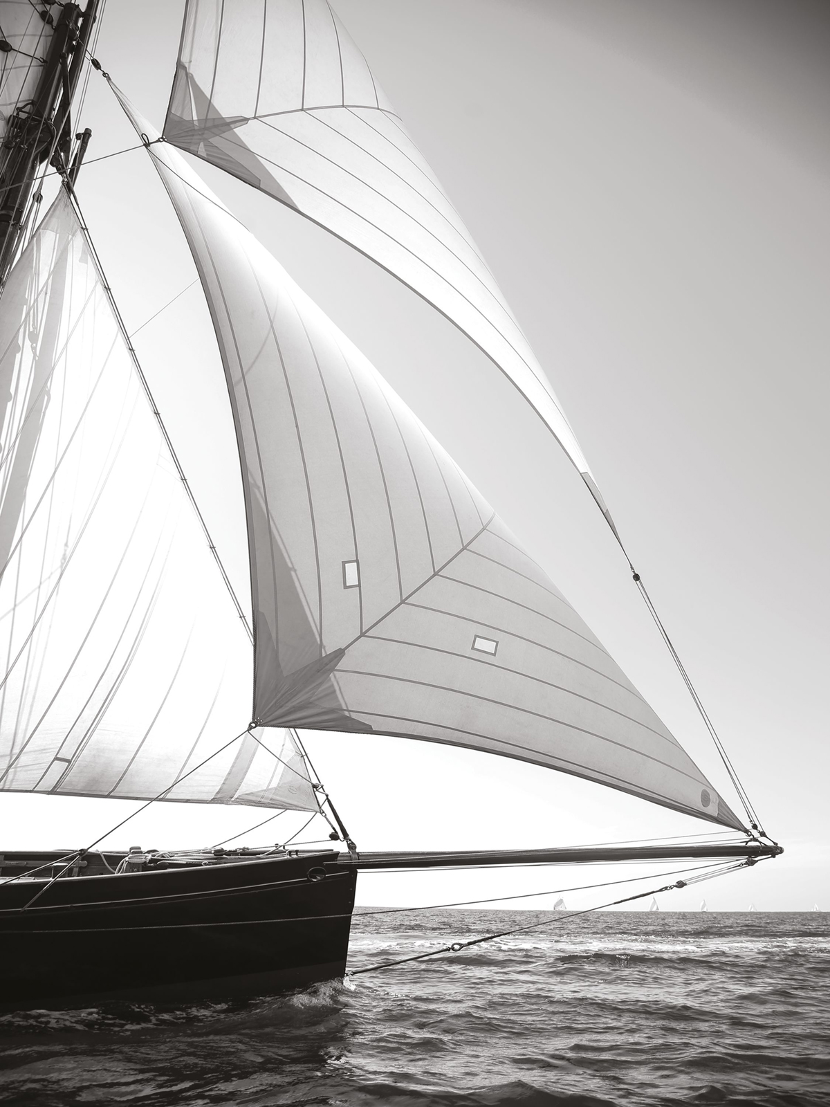 Affiche Voilier Regate Solitaire 30x40 noir et blanc - Seaside de Casadéco | Réf. SEAS201579202