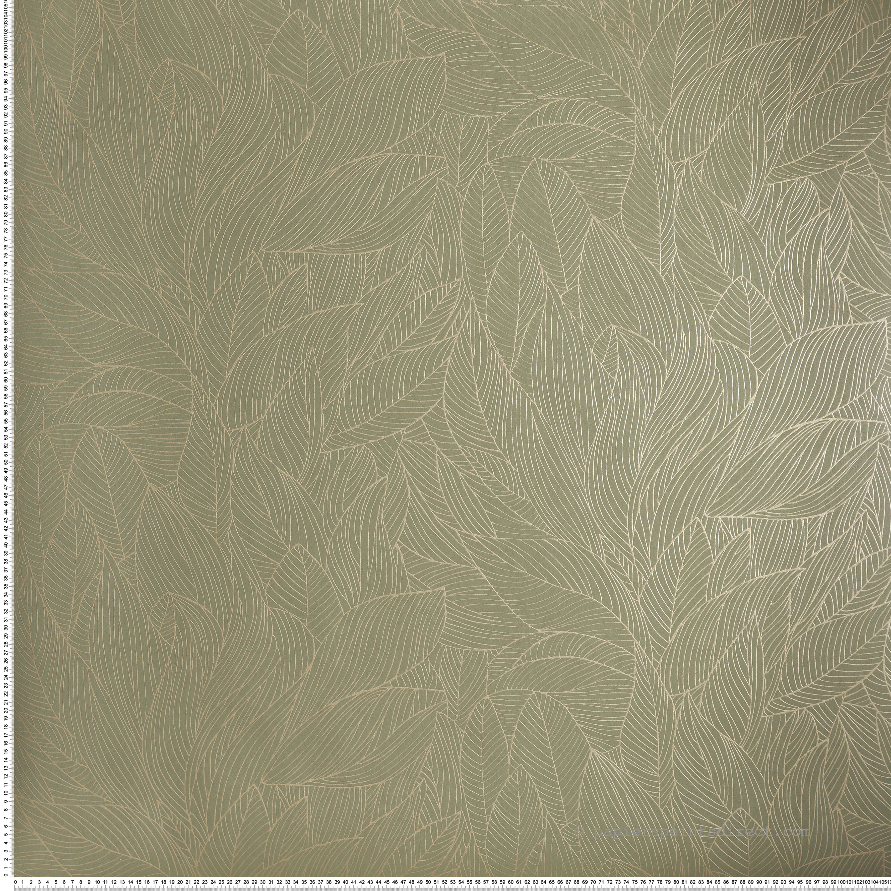 Papier peint Nervure de Feuille Hosta kaki doré - Jardin Félicia de Casamance | Réf. CAS-76602548