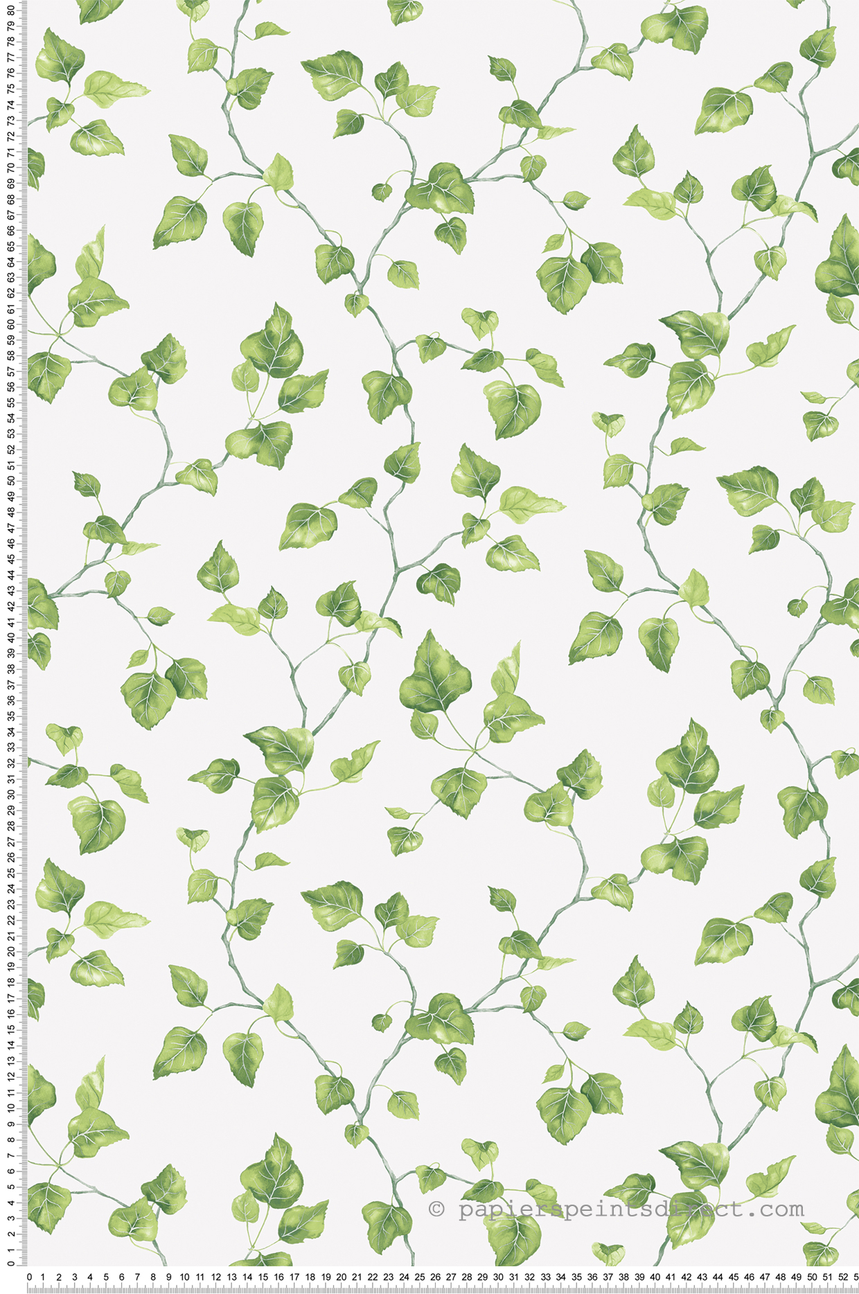 Papier peint Lierre Grimpant vert blanc - Cuisine Fraicheur 6 de Lutèce | Réf. LTC-G45431