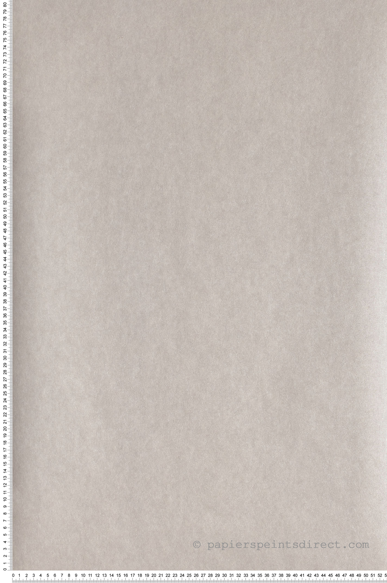 Papier peint Faux uni Gallant gris argent - Blossom de Casamance | Réf. CAS-72340975