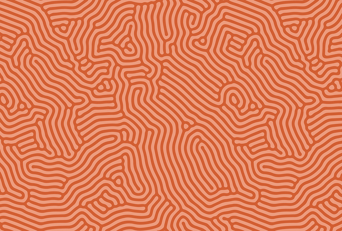 Papier peint panoramique Walls by Patel 3 - Référence DD122852 - Intissé 200g/m2 - 400 x 270 cm