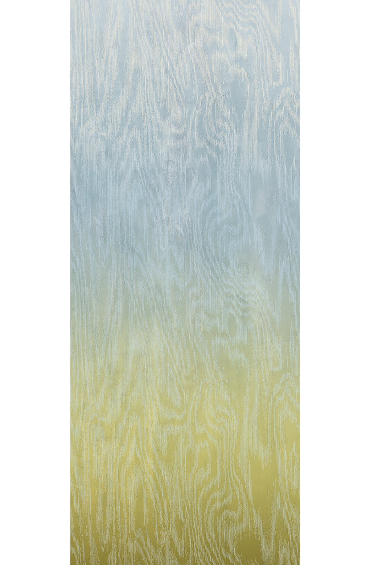 Papier peint panoramique Dégradé Moiré Bois bleu vert citron - C H260 - Wall Designs IV de Masureel | Réf. MAS-DG4MOI1073-260