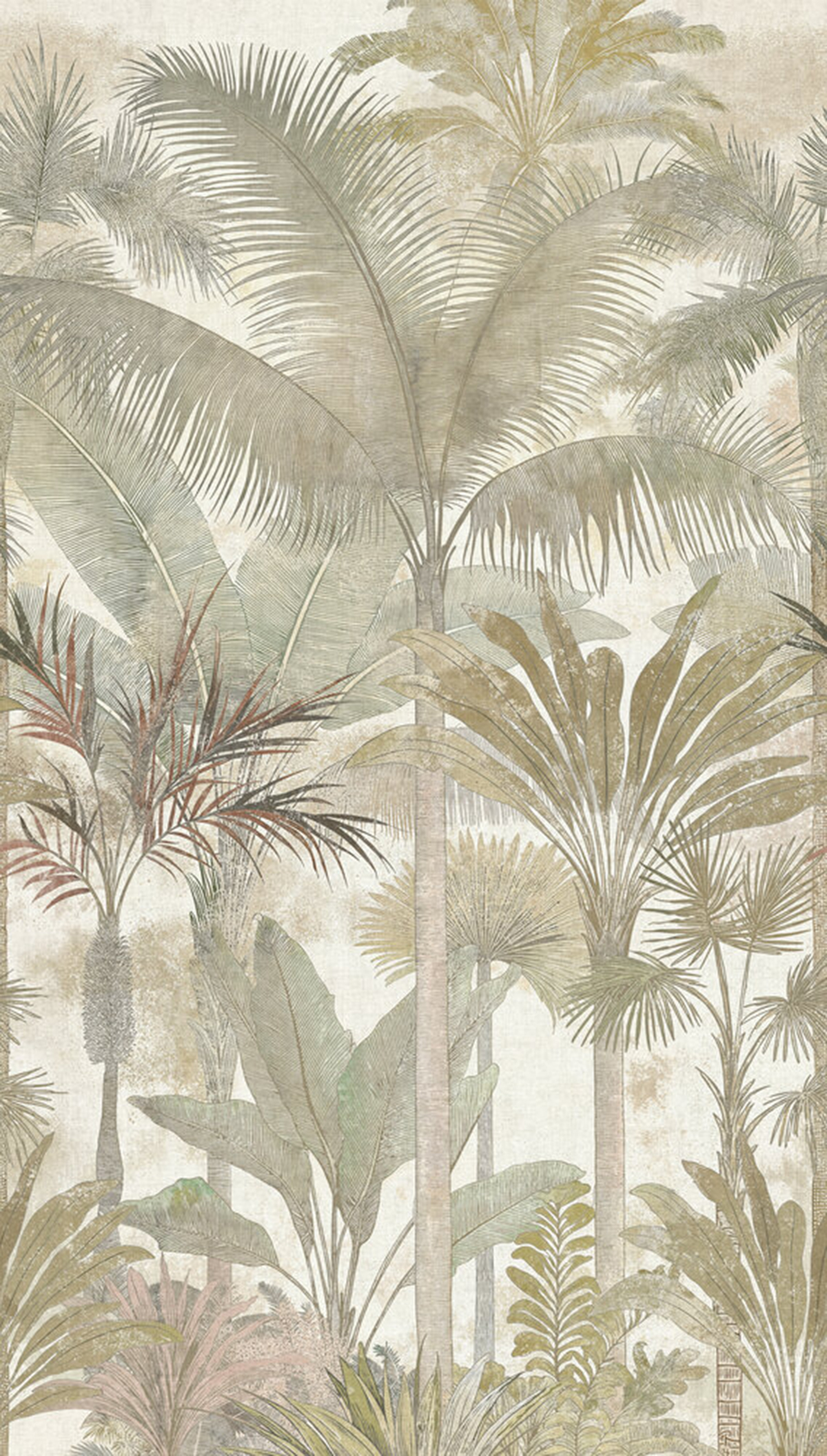 Papier peint panoramique Jungle Palmier vert pâle - Cuba 2 d'A.S. Création | Réf. AS-761905