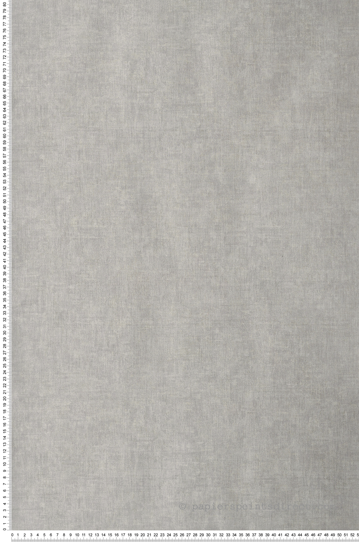 Papier peint Faux Uni William gris pale - Gingko de Casadéco | Réf. GINK81911353
