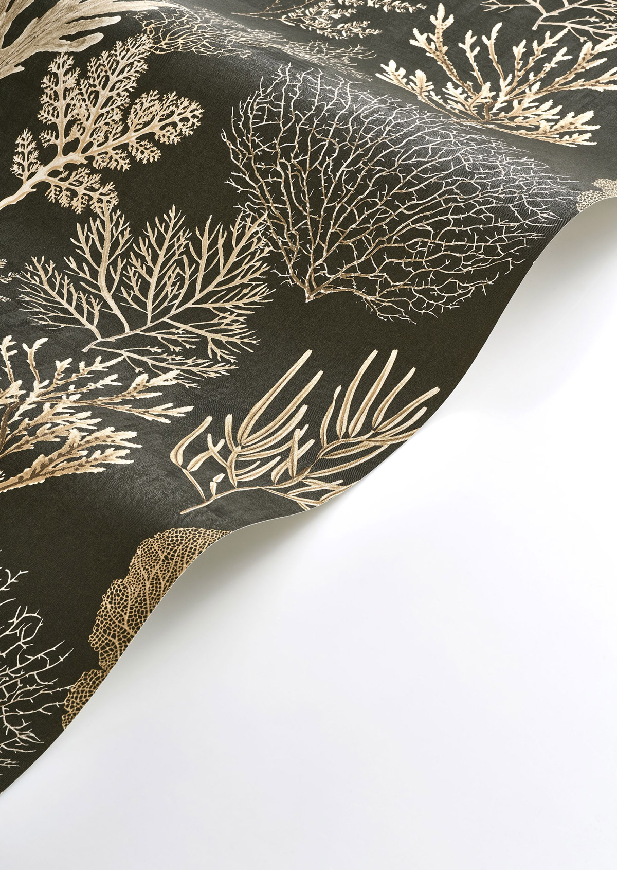 Papier peint Marin Corail anthracite - Seaside de Casadéco AMB5 | Réf. SEAS83979808