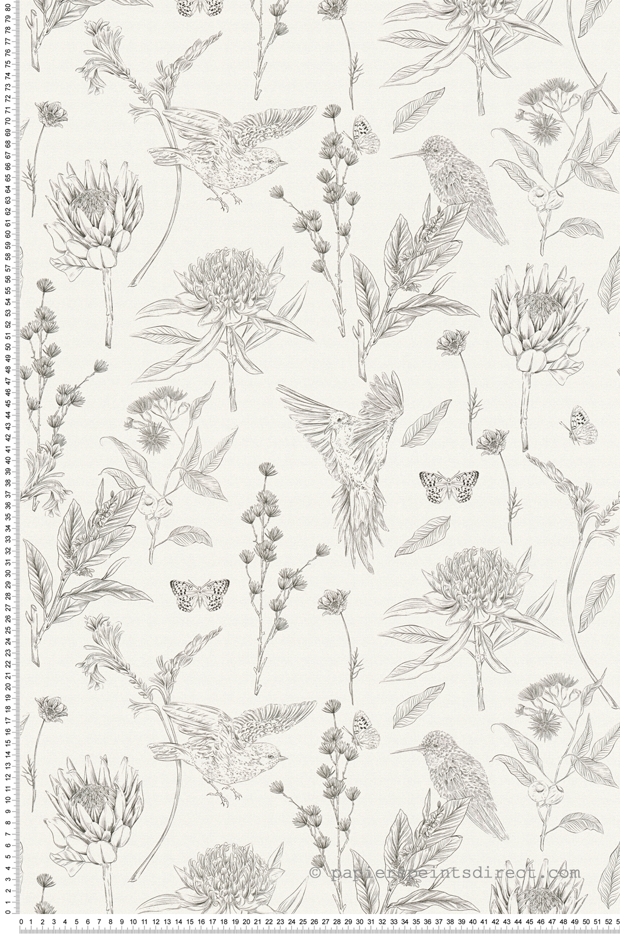 Papier peint Oiseau Nature Papillon noir blanc - Drawn Into Nature de Livingwalls | Réf. 39429-2