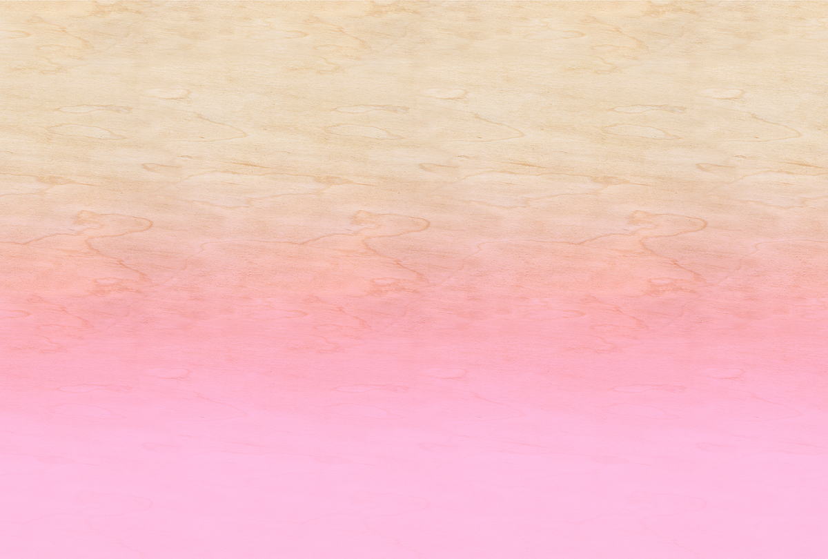 Papier peint panoramique Walls by Patel 3 - Référence DD122624 - Intissé 200g/m2 - 400 x 270 cm