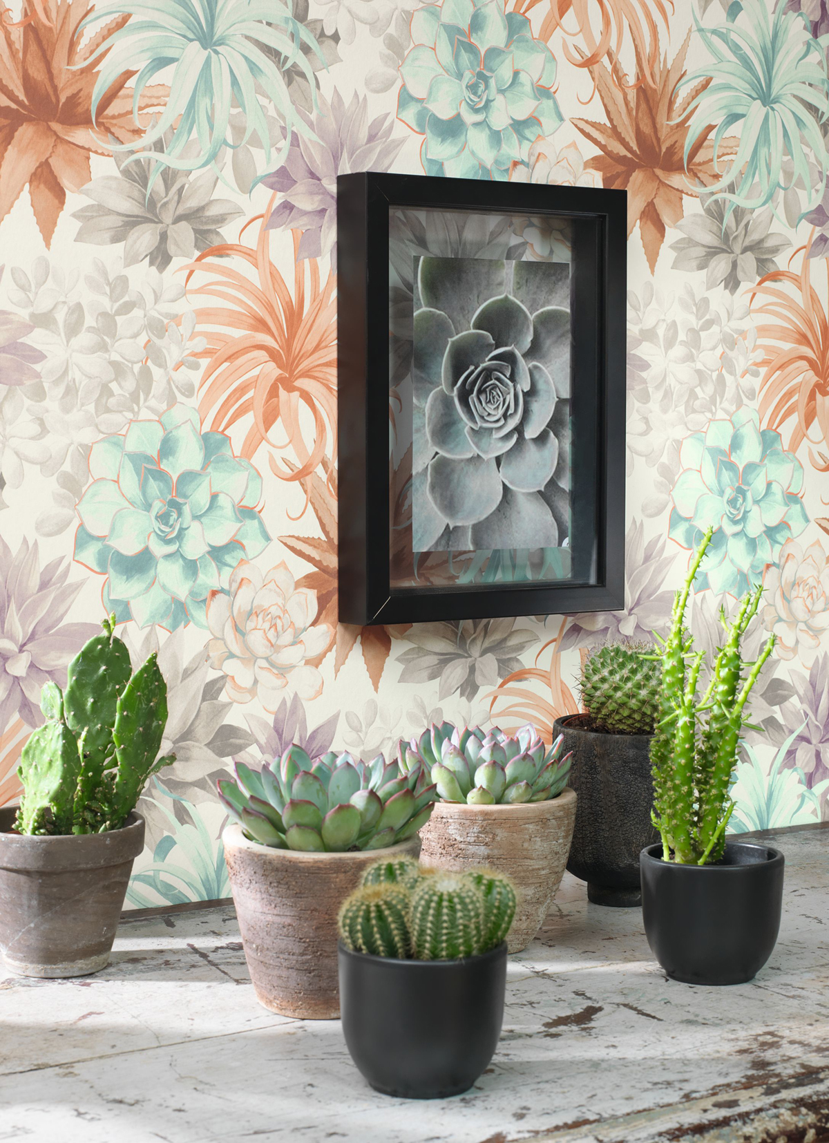 Papier peint Plante Echeveria terracotta - Botanica de Casadéco | Réf. BOTA85914374