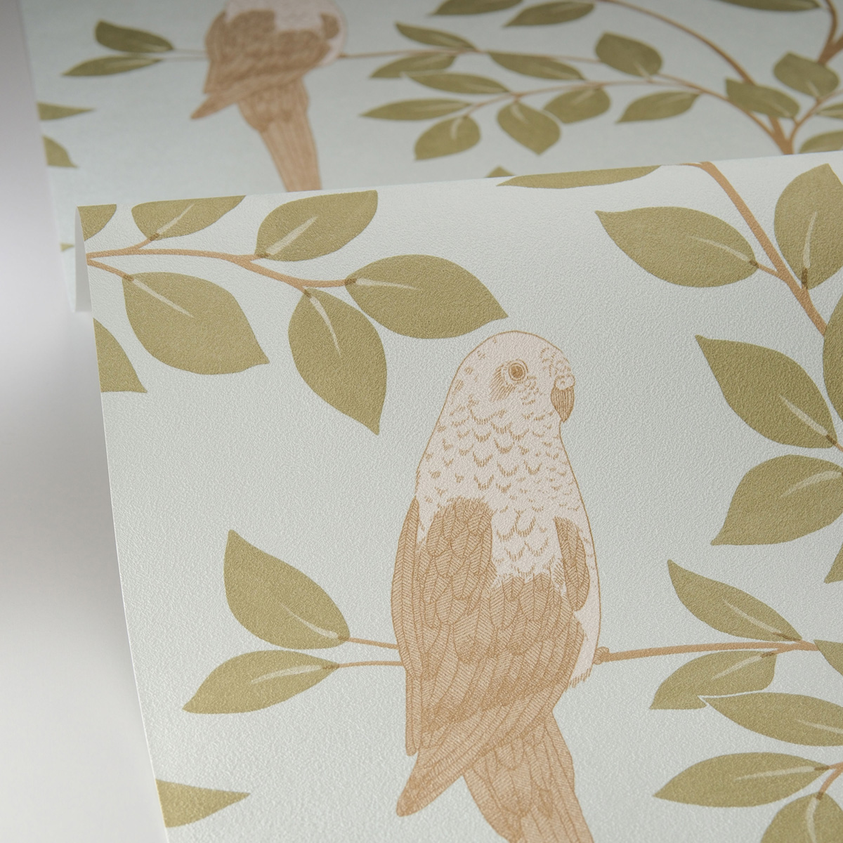 Papier peint Oiseau Jungle Equateur kaki bleu - Borneo de Casélio AMBV| Réf. BORN106527162