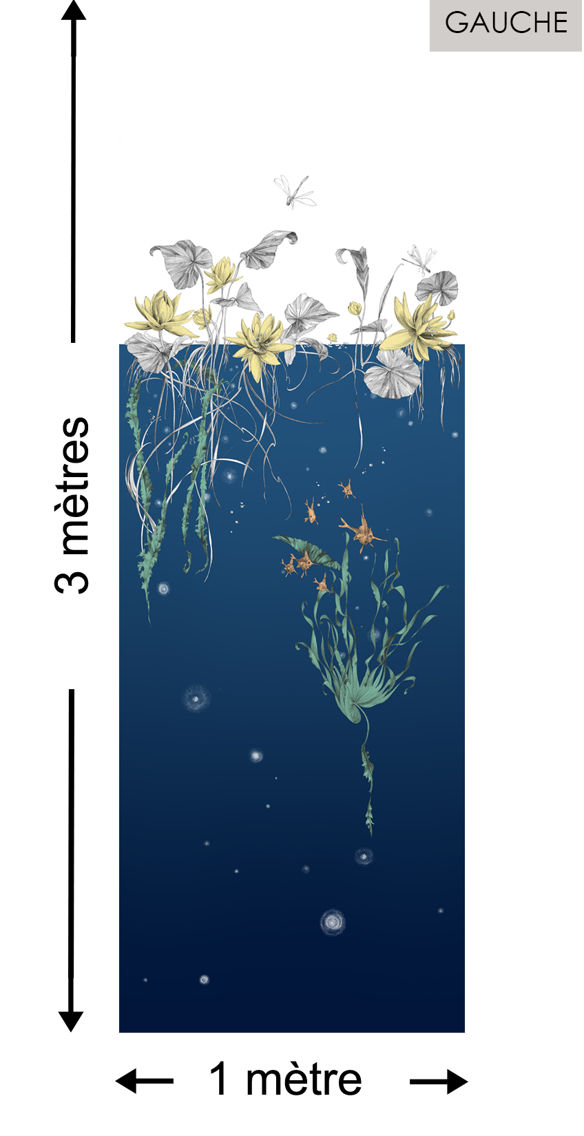 Nénuphars DROIT Marine - Collection Catherine Gran de Edmond Petit