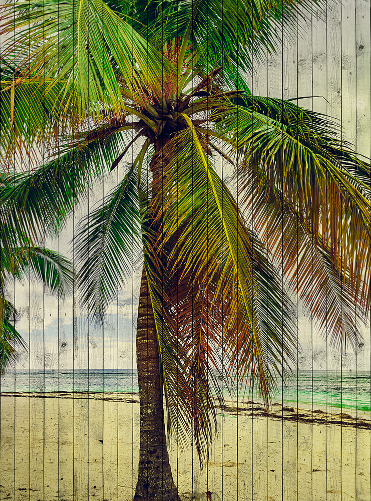 Papier peint panoramique Palmier Bois Tahiti 3 - Référence DD113682 - Intissé 200g/m2 - Standard 200 x 270