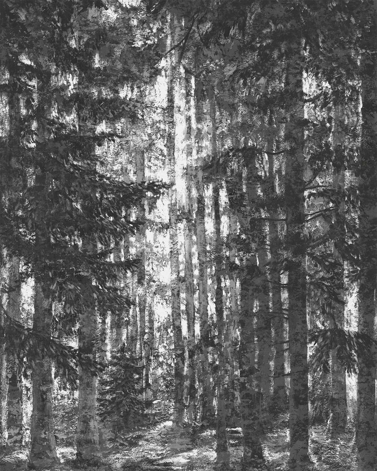 Papier peint panoramique Forêt Lustres Lapland noir et blanc - Papier Peint Komar Infinity 2