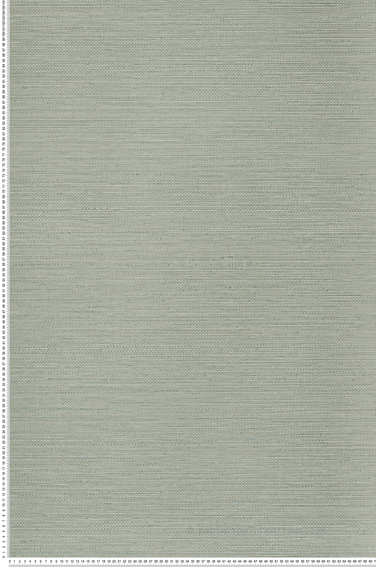 Papier peint Paille Zostera vert amande - Golfe du Bengale de Casamance | Réf. CAS-75972446