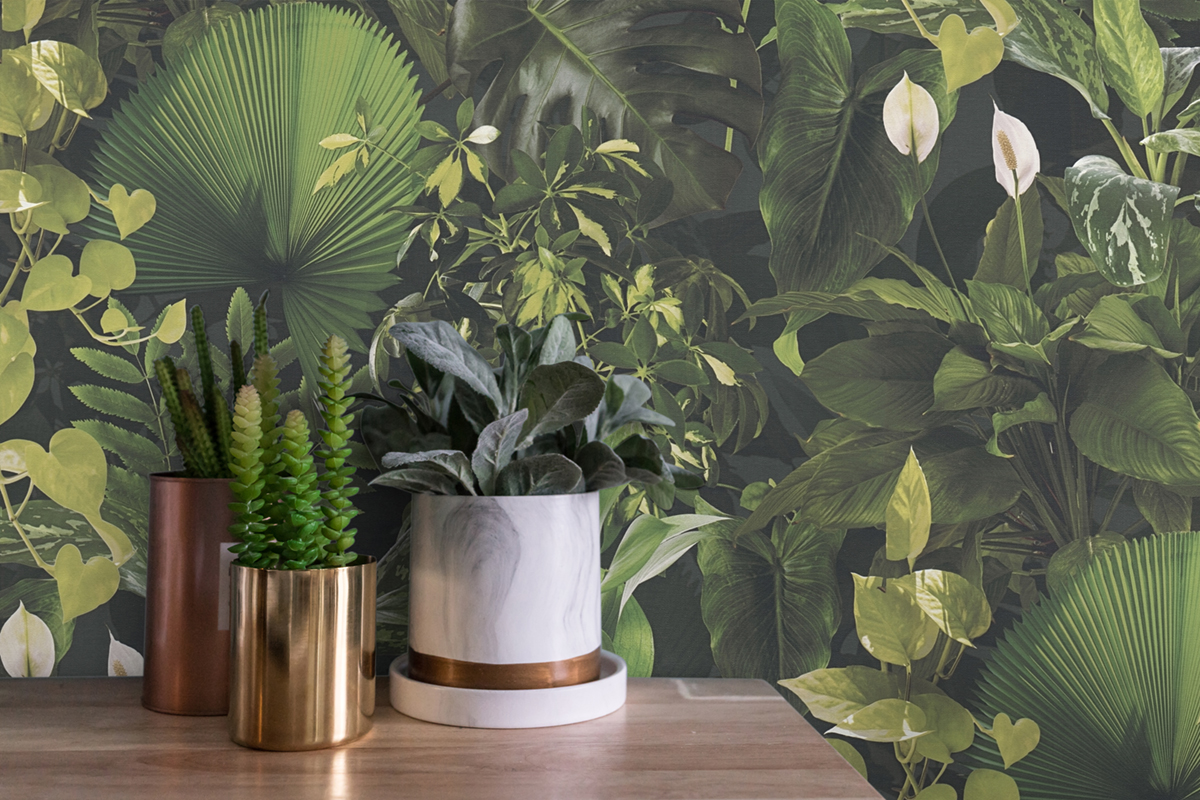 Papier peint Jungle Végétale verte - Pintwalls 2 d'A.S. Création | Réf. AS-396981