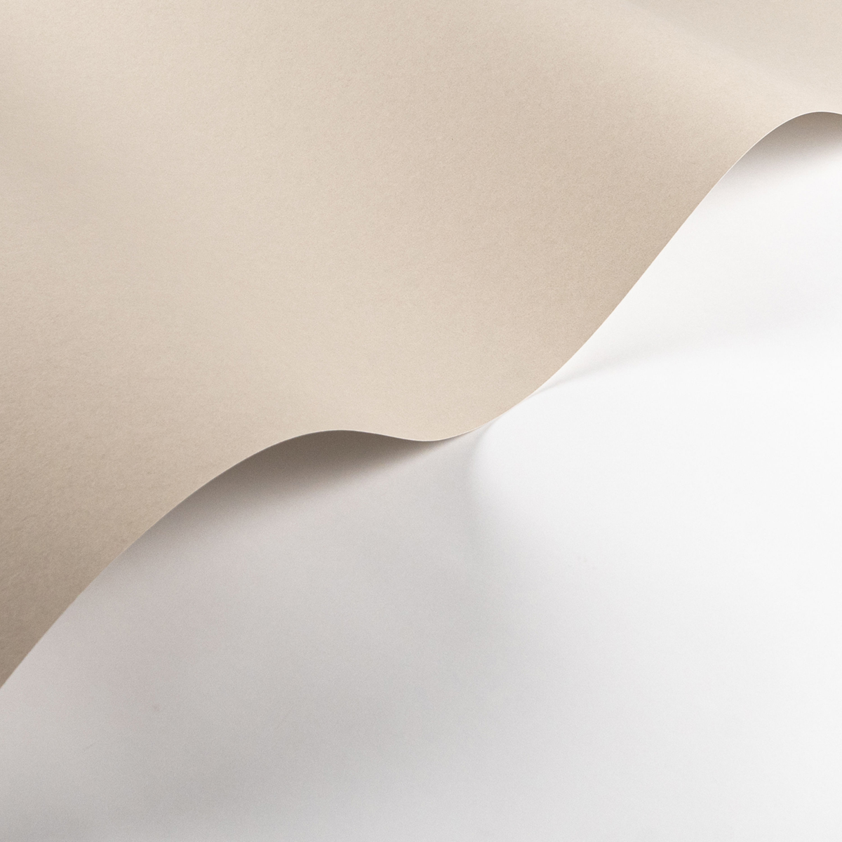 Papier peint Uni Pigments Buvard beige ficelle - Galons et Frises de Casadéco AMB2| Réf. GAFR200331212