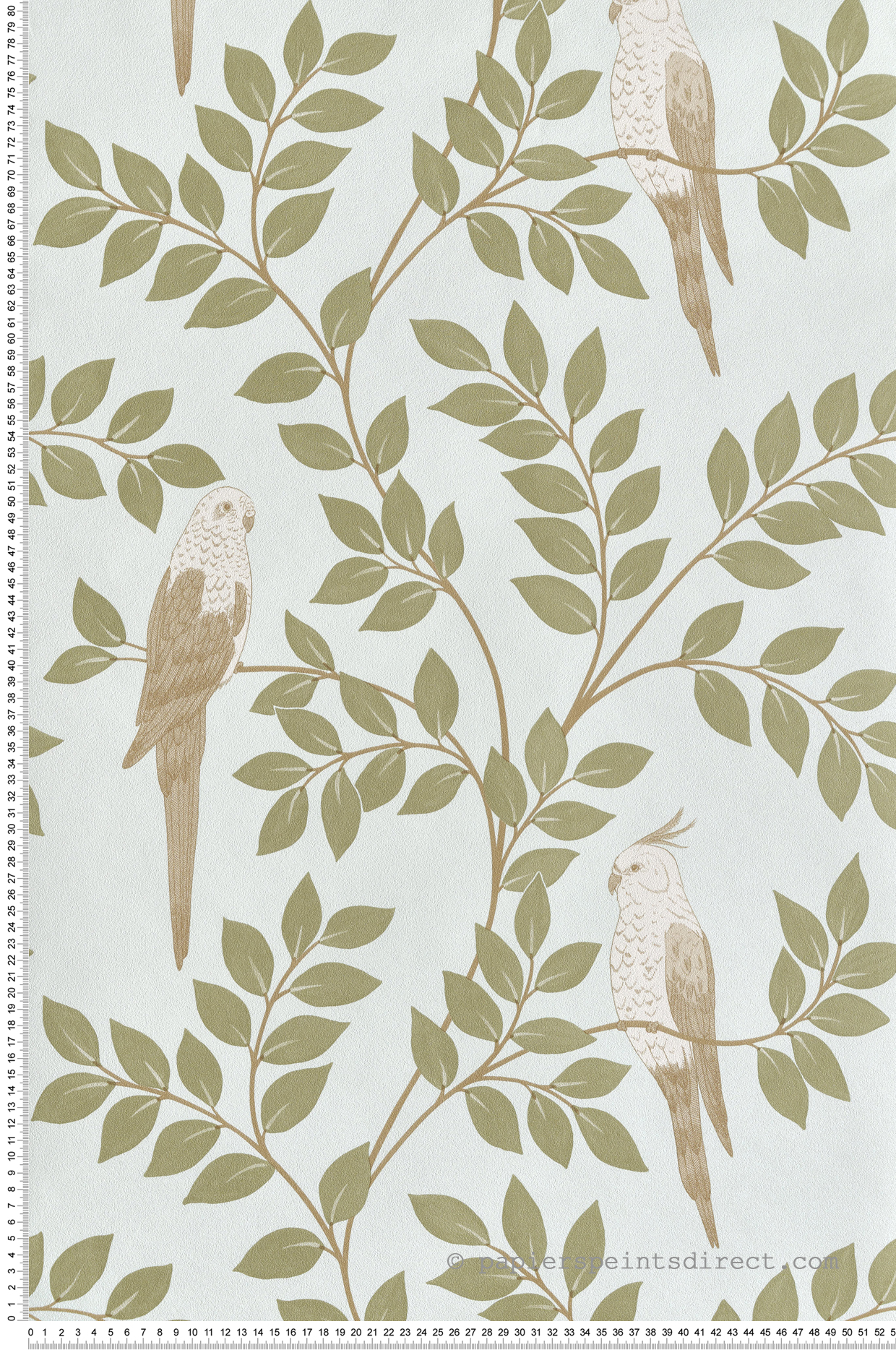 Papier peint Oiseau Jungle Equateur kaki bleu - Borneo de Casélio | Réf. BORN106527162