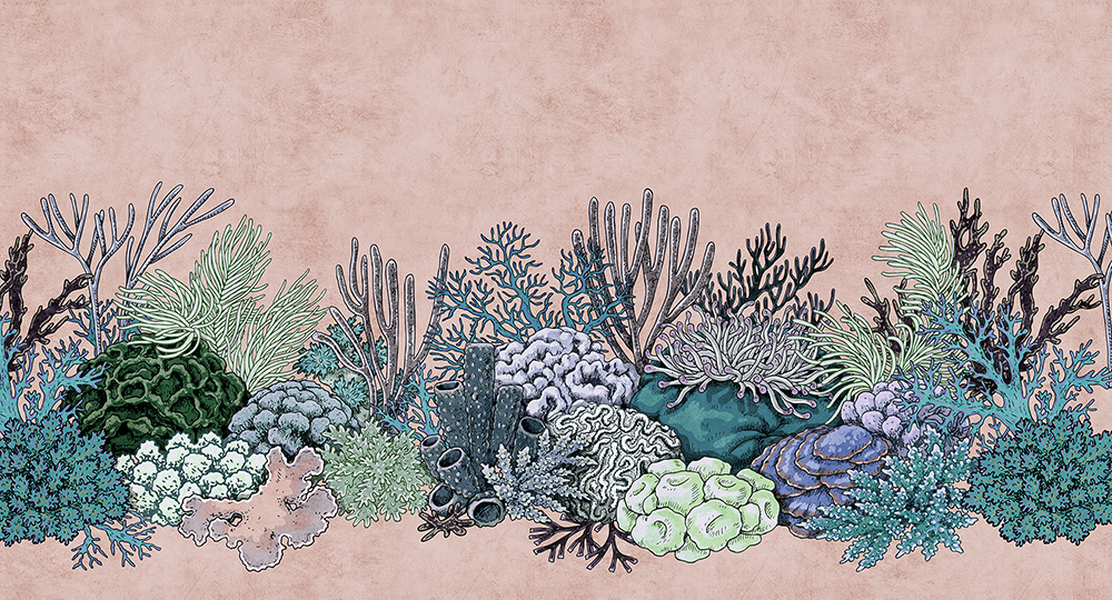 Papier peint panoramique Coraux marins Octopus's garden 2 - Référence DD114272 - Intissé 200g/m2 - Standard 500 x 270