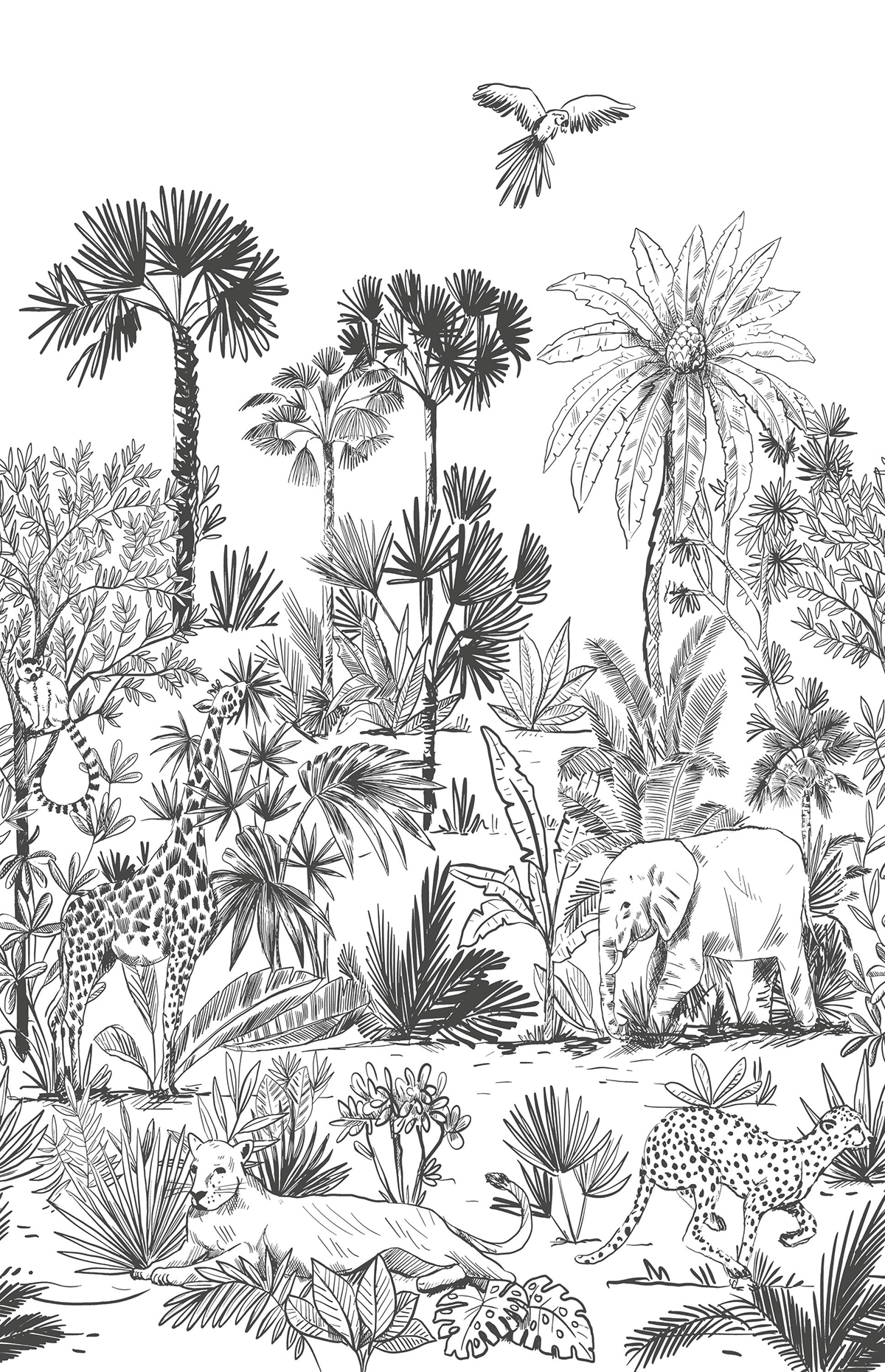 Papier peint panoramique Fresque Jungle Decouvrir noir et blanc Taille L - Autour du Monde de Casélio | Réf. ADM103599004