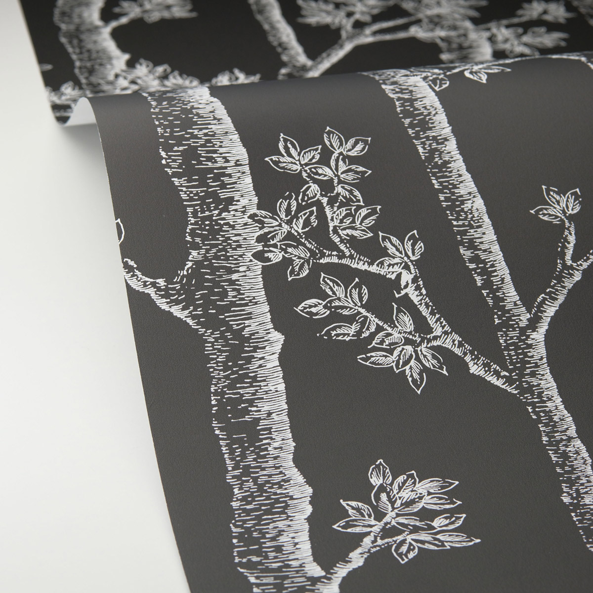 Papier peint Arbre Tronc Automne noir - Balade de Casélio AMB6| Réf. BLD106129090