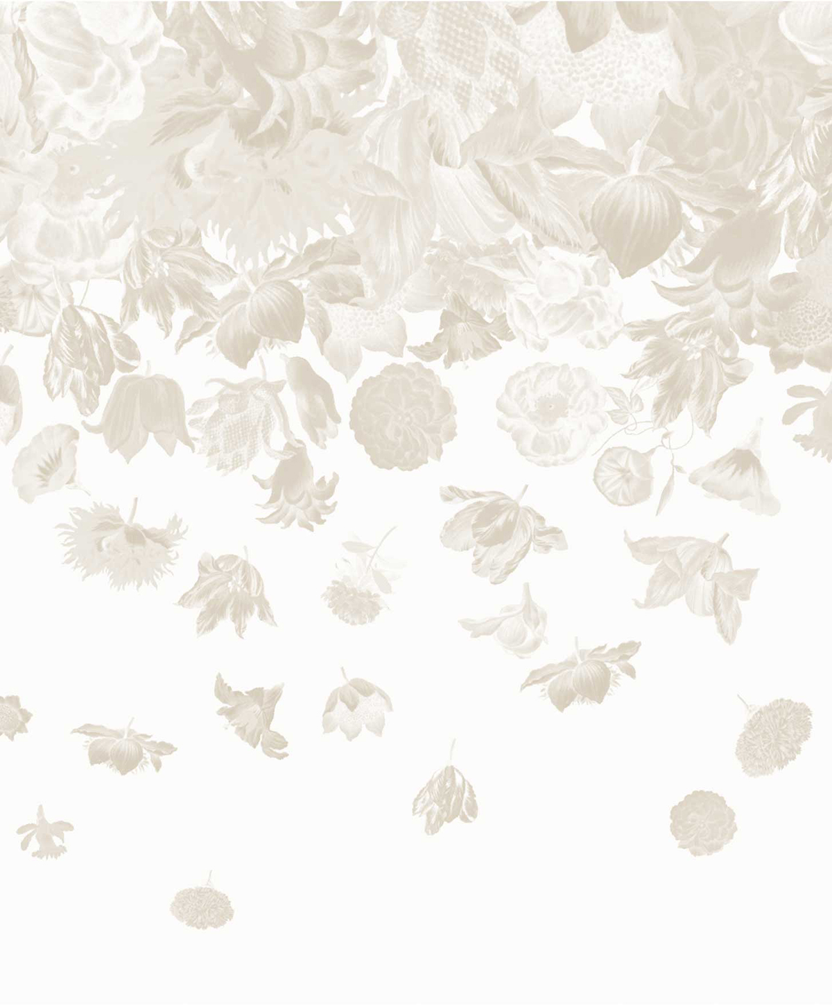 Papier peint Panoramique Pluie de Fleurs beige pale - Moorea de Montecolino | Réf. MC-18004