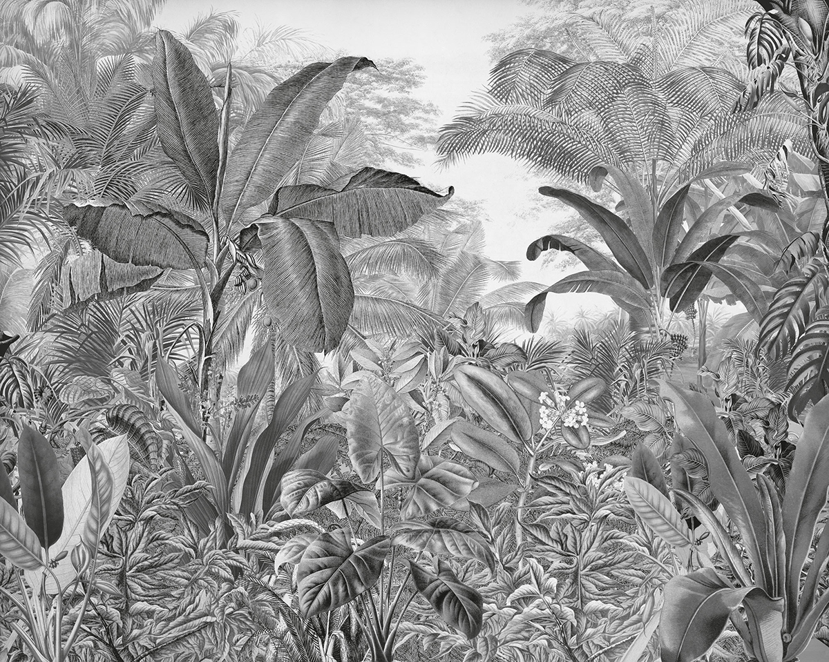Papier peint panoramique Paysage Jungle - Papier Peint Komar Into Adventure