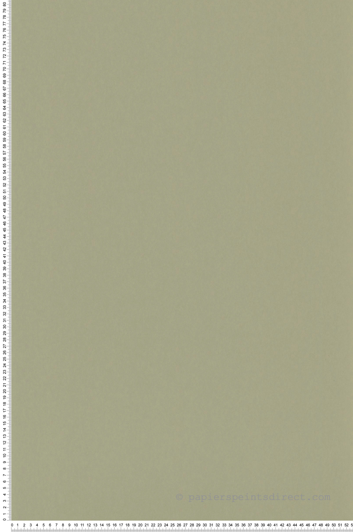Papier peint Uni Pigments Buvard vert argile - Galons et Frises de Casadéco | Réf. GAFR200337337