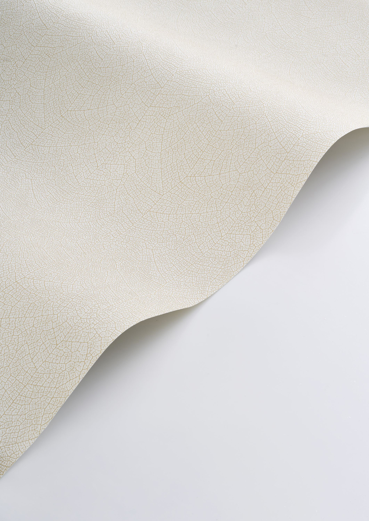 Papier peint Feuille Nervure Nola camomille - Vegetals de Casadéco AMBV| Réf. VEGE201281101