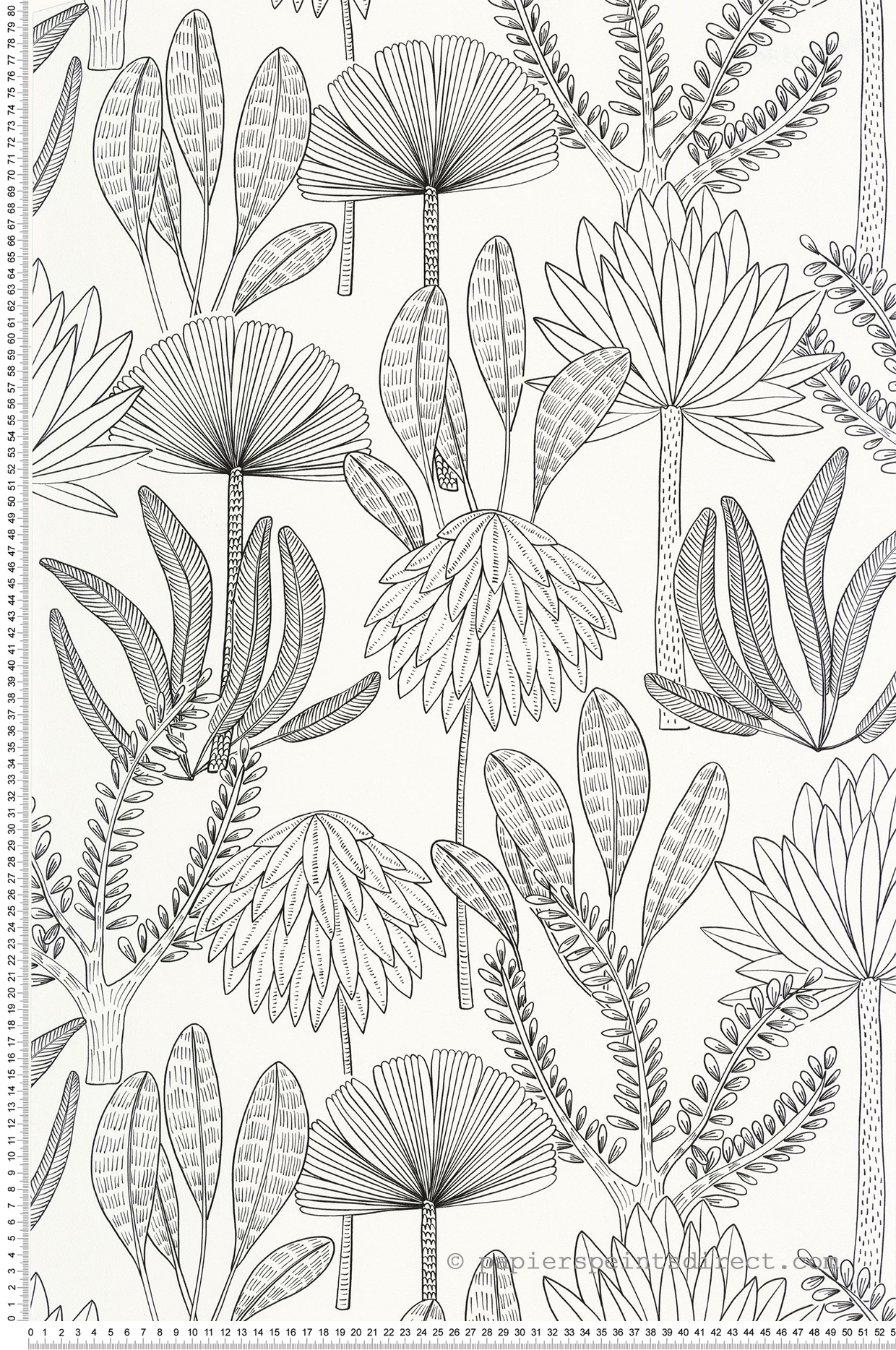 Papier peint Feuillages Jungle Bali noir et blanc - Stay Wild de Casélio | Réf. WILD104930981