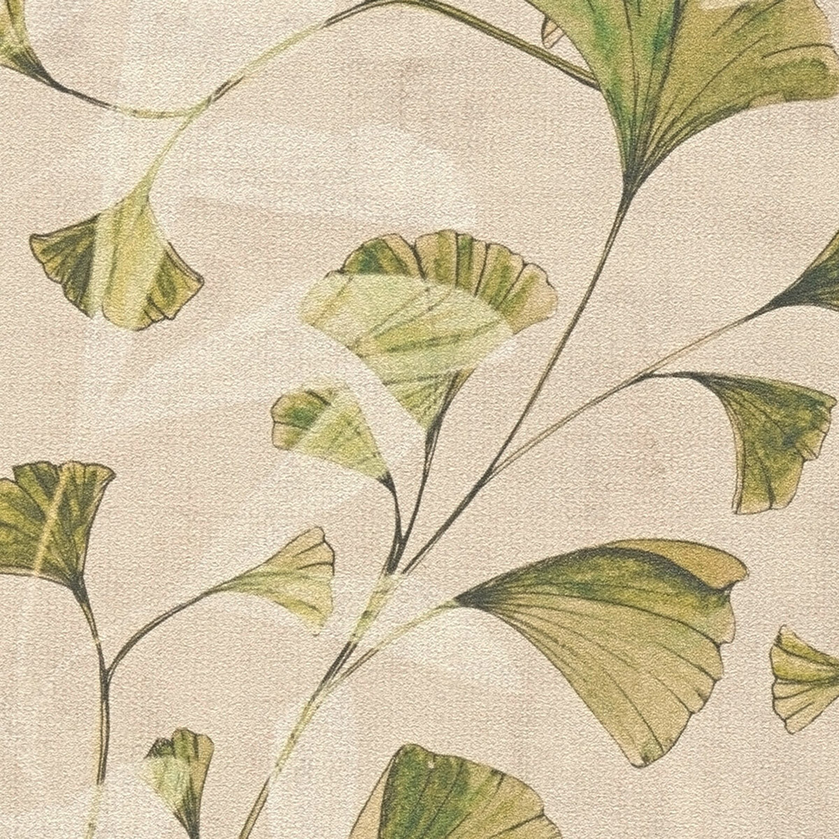 Papier peint Ginkgo Feuille vert - Anna D'Andrea d'A.S. Création AMB3| Réf. AS-782233