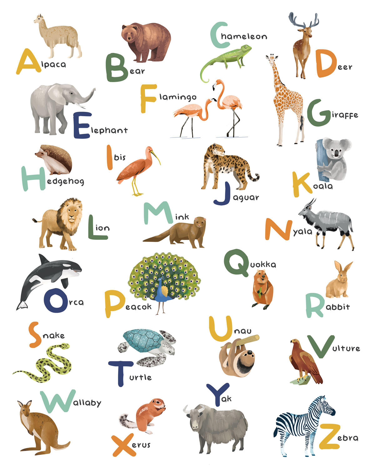 Papier peint panoramique Abécédaire Anglais Let's Learn Alphabet multicouleurs S 200X250 - Les Minis Mondes de Casélio | Réf. MNM105857005