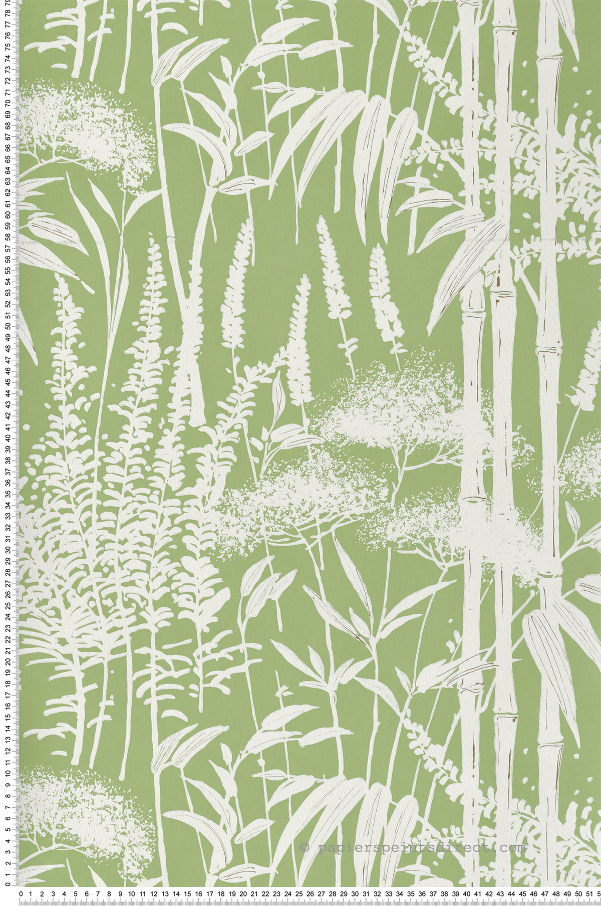 Papier peint Forêt Bambou Poiteau vert - Signature de Nina Campbell | Réf. OSB-NCW4498-03