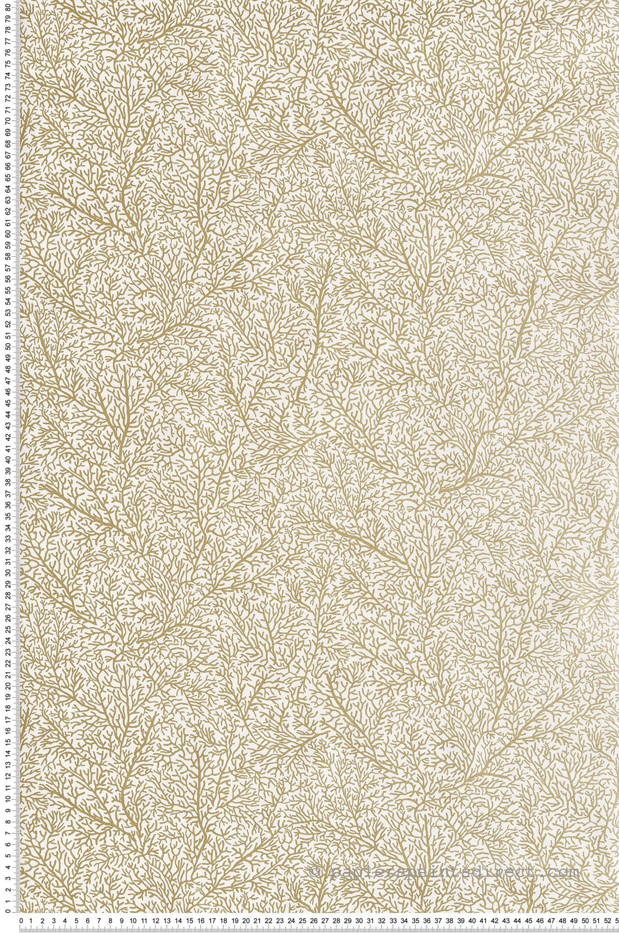 Papier peint Coraux Only Chips blanc et doré - Sea You Soon de Casélio | Réf. SYO102780202