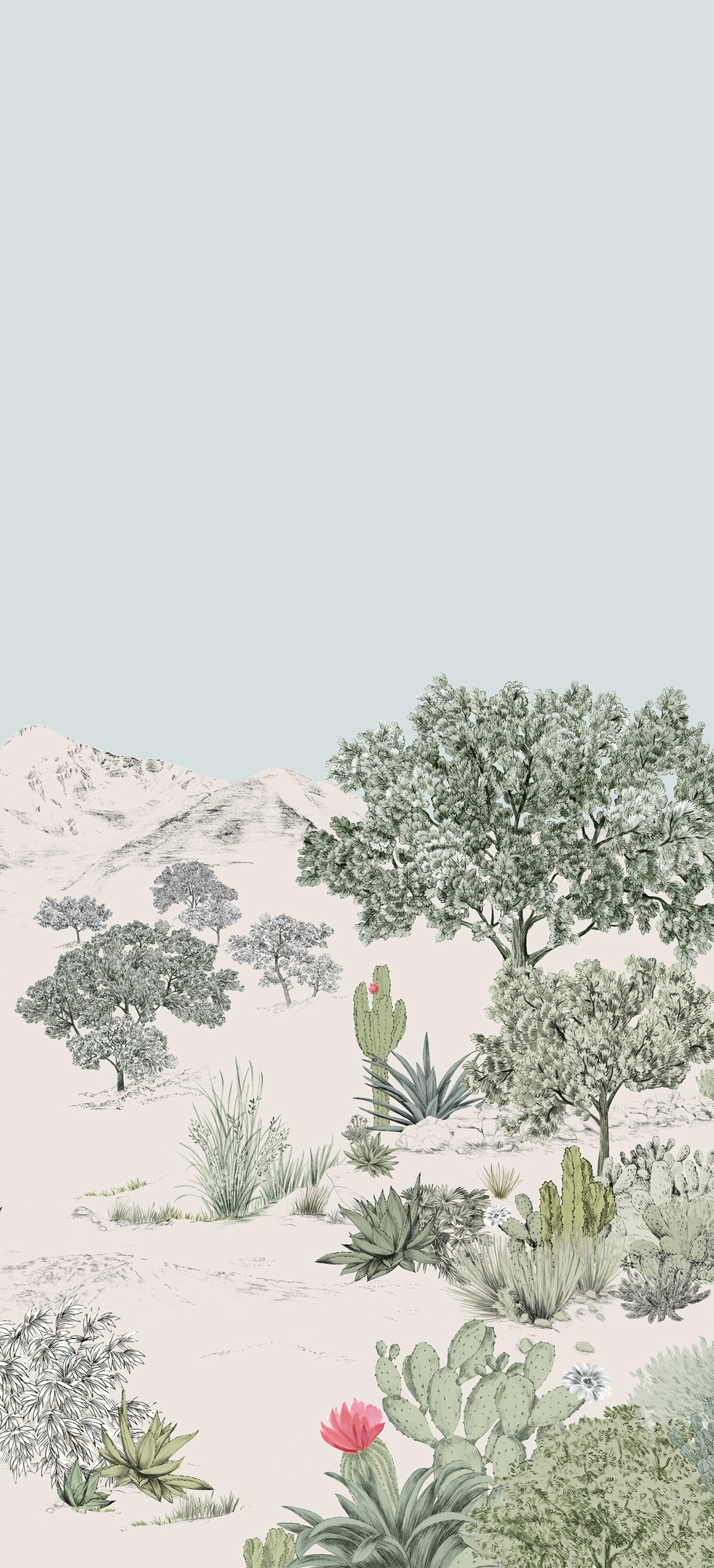 Papier peint panoramique Cactus Succulentes Pastel A - 1/2/3 - Isidore Leroy