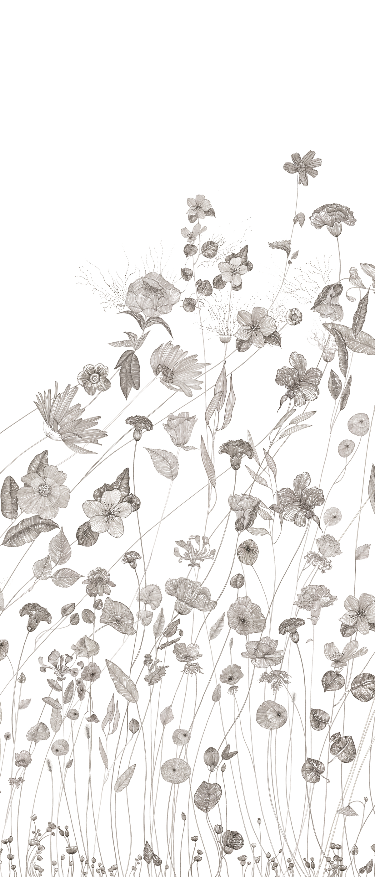 Papier peint panoramique Fleurs Prairie B - 4/5/6 - Isidore Leroy