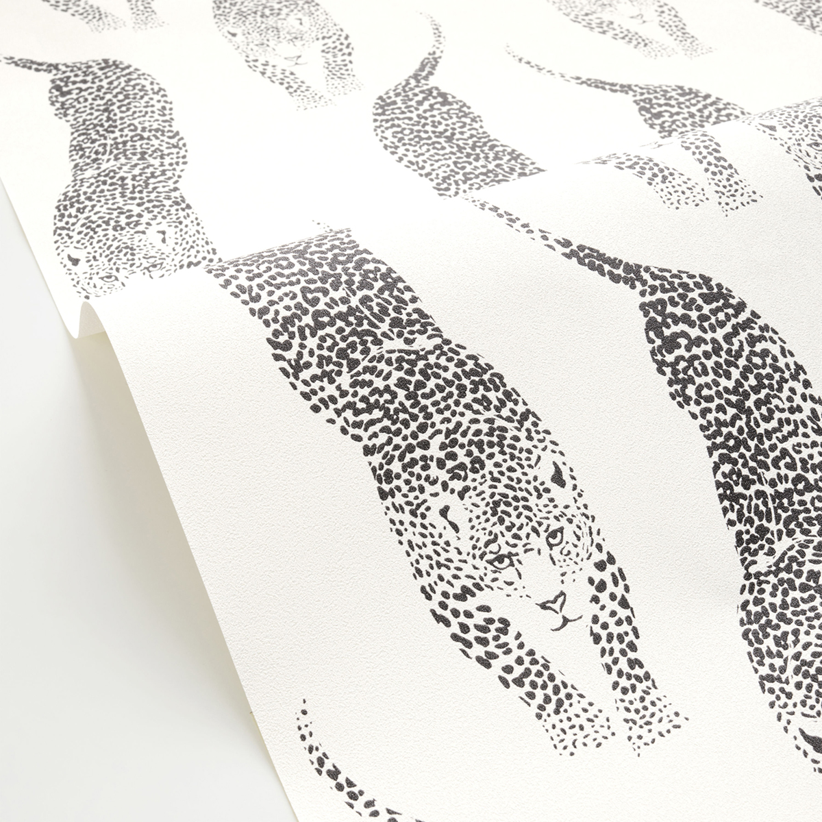 Papier peint Panthera Sauvage noir blanc - Stay Wild de Casélio AMB2| Réf. WILD104920995