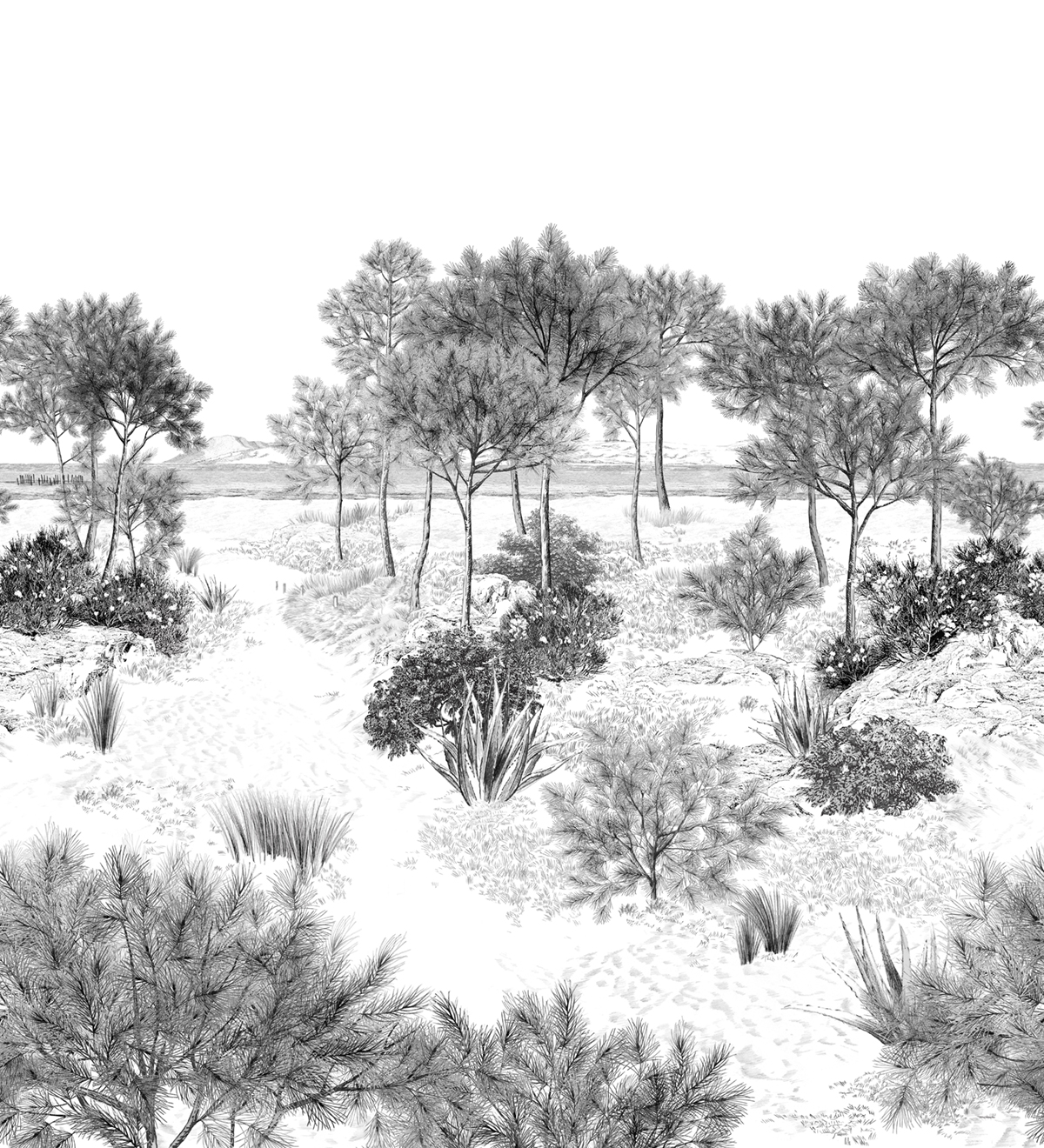 Papier peint panoramique Dune Gris A+B - 1/2/3/4/5/6 - Isidore Leroy