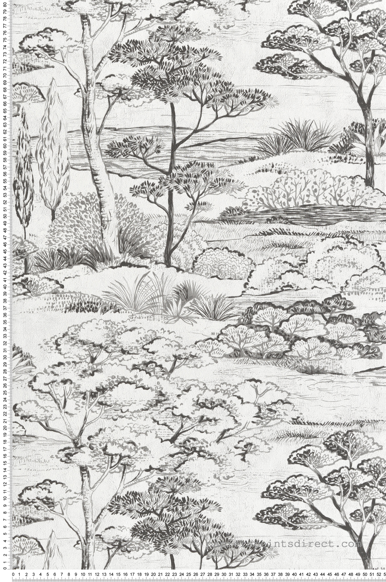 Papier peint Paysage Littoral Arbre noir blanc - Sentier des Dunes de Casadéco | Réf. SENT200939374