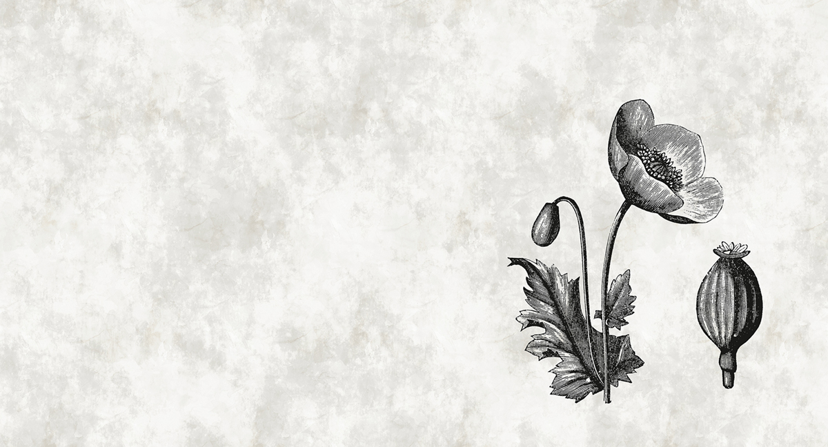 Papier peint panoramique Fleurs Sketchpad 6 - Référence DD110376 - Intissé 200g/m2 - Standard 500 x 270