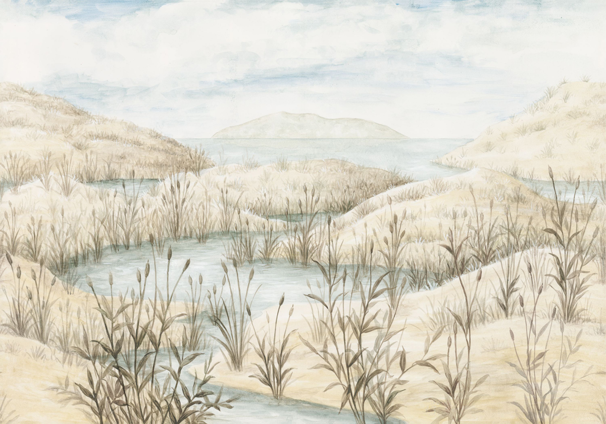 Papier peint panoramique Paysage Chemin Côtier M beige 400X280 - Sentier des Dunes de Casadéco | Réf. SENT200971211