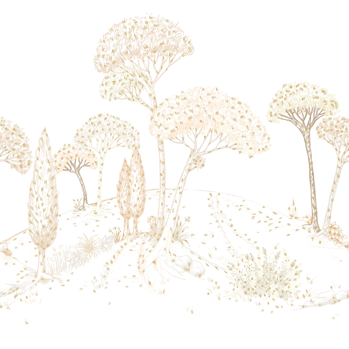 Papier peint panoramique Forêt Douce Stockholm beige 250X250 - Color Box 3 de Casélio | Réf. CB3105880106