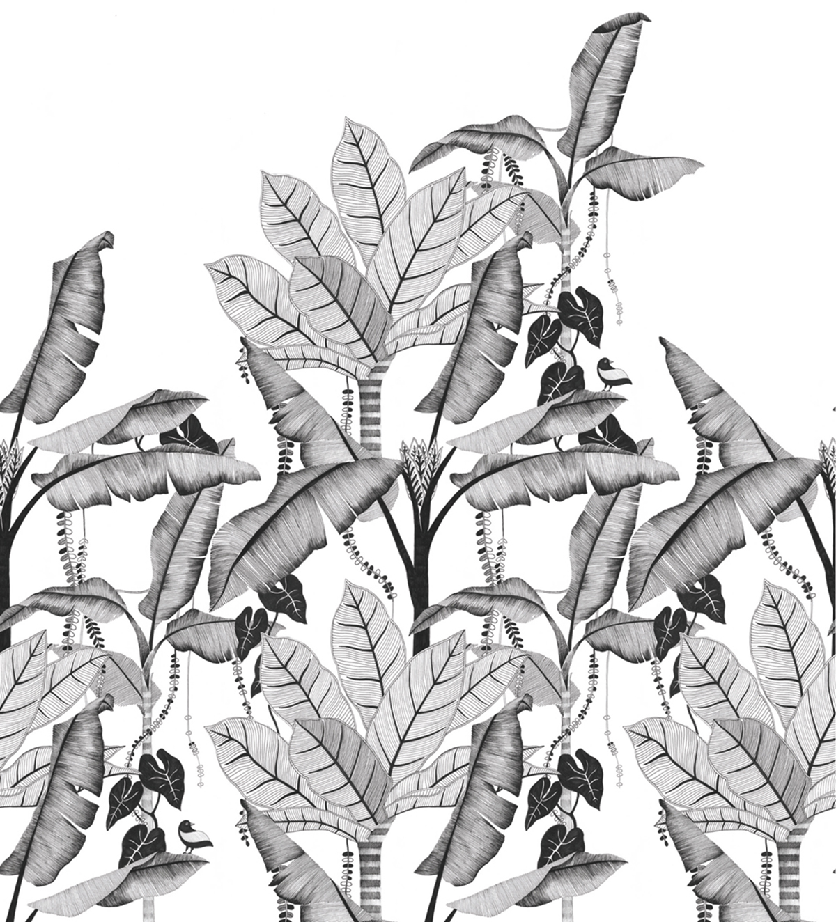 Papier peint panoramique Feuillage Jangala noir et blanc - Panoramas de Casamance | Réf. CAS-74992038