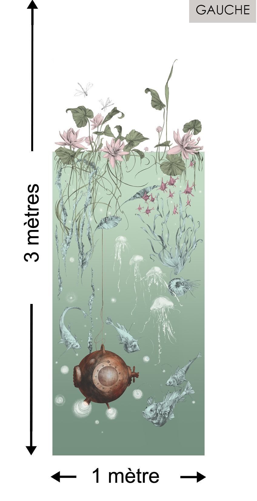 Nautilus DROIT Aqua - Collection Catherine Gran de Edmond Petit