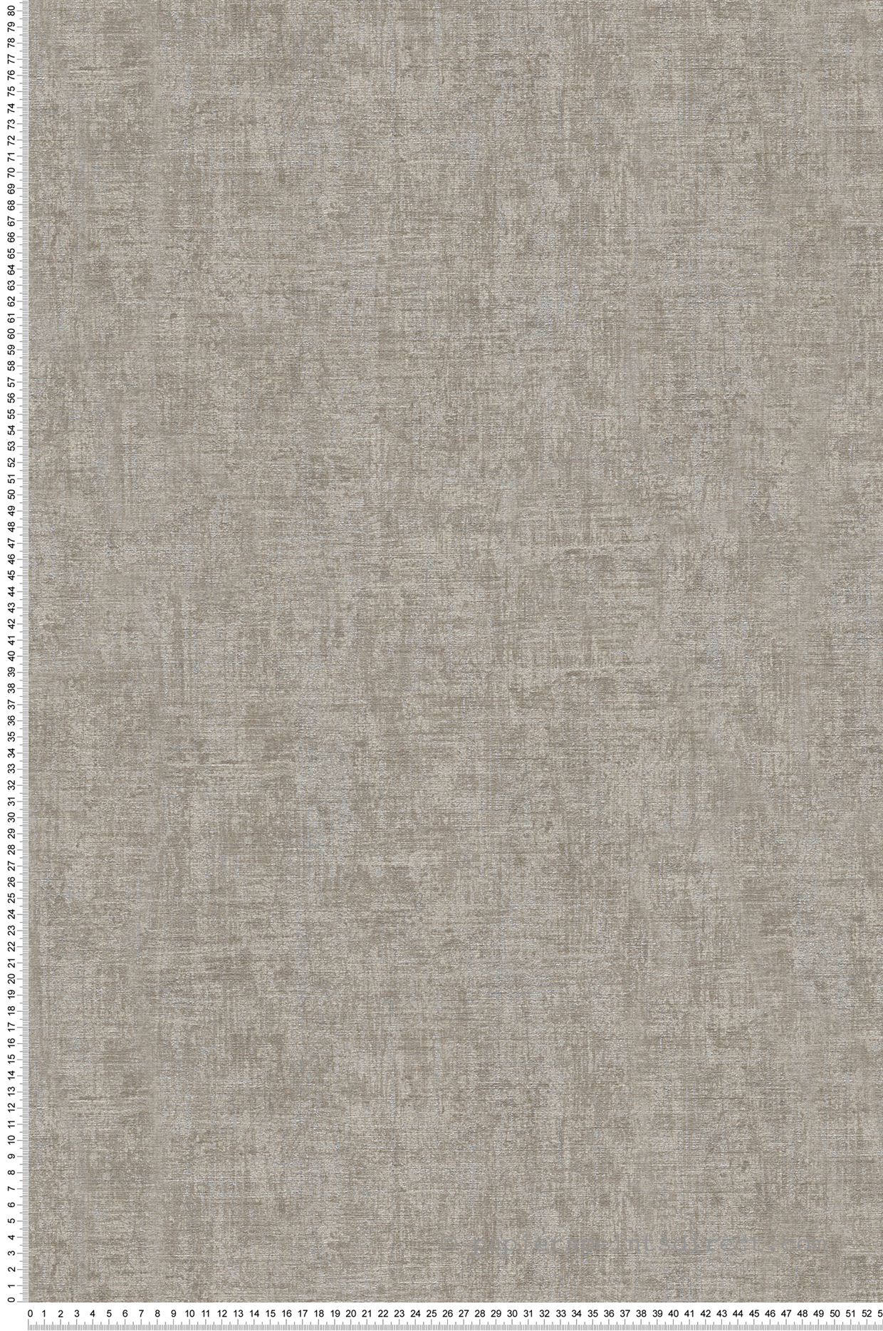 Papier peint Pierre métallisée taupe - Greenery et Bornéo d'AS Création | Réf. SP03659