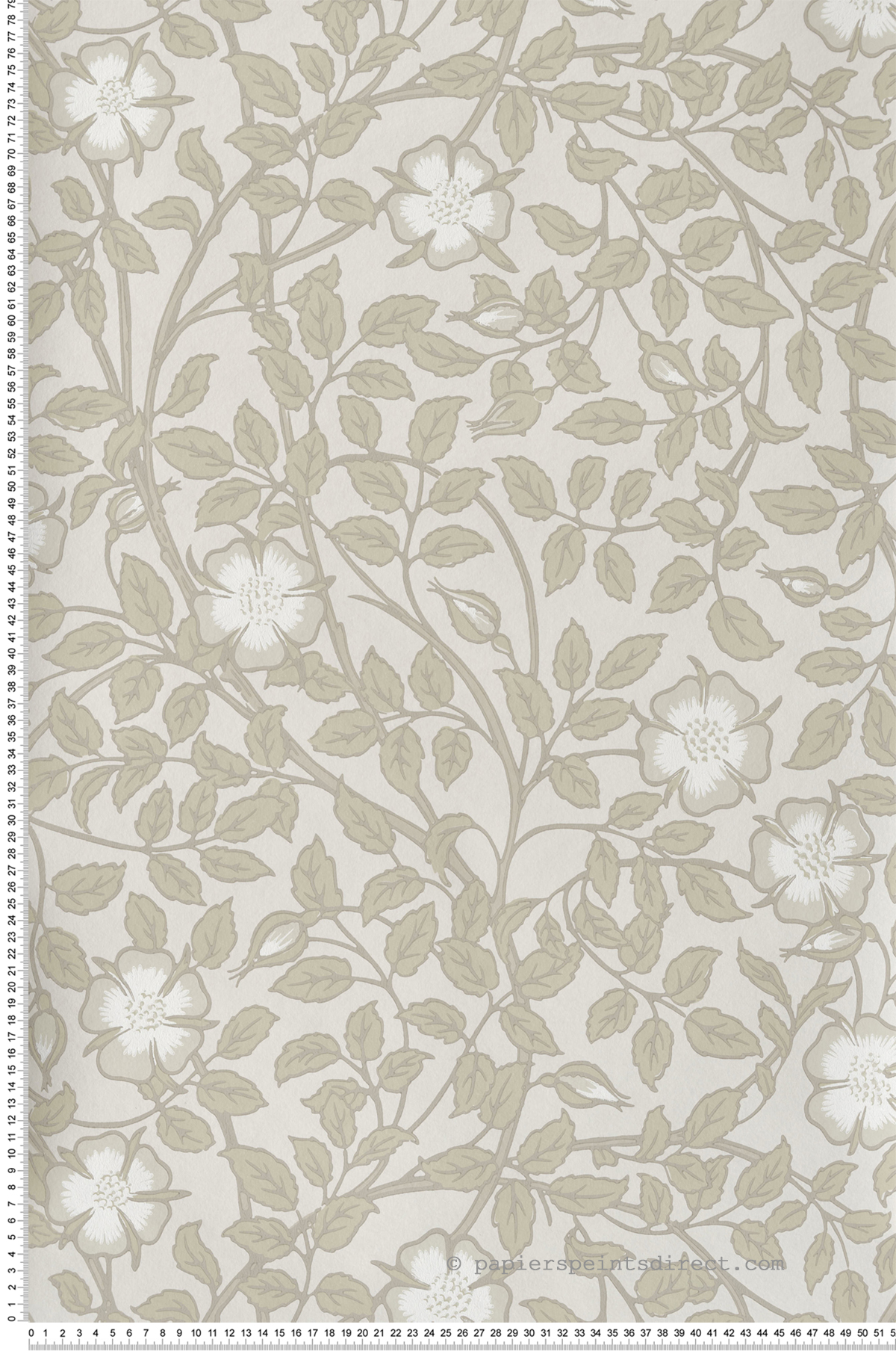 Papier peint Fleurs Briar Rose Green Stone - National Trust Papers 3 de Little Greene | Réf. 0263BRGSTON