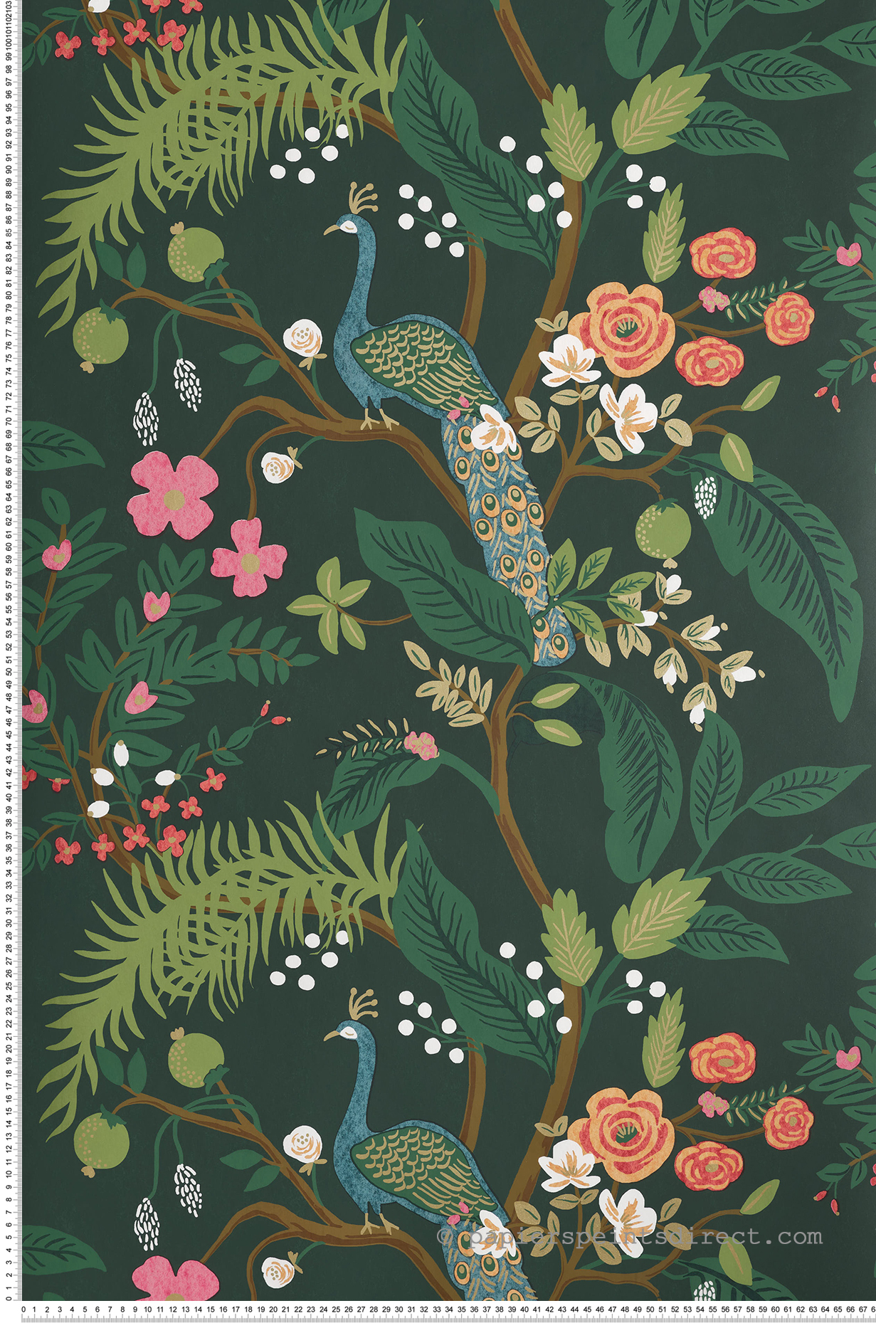 Papier peint Nature Peacock vert forêt - Rifle Paper Co. d'Initiales | Réf. INI-RI5168