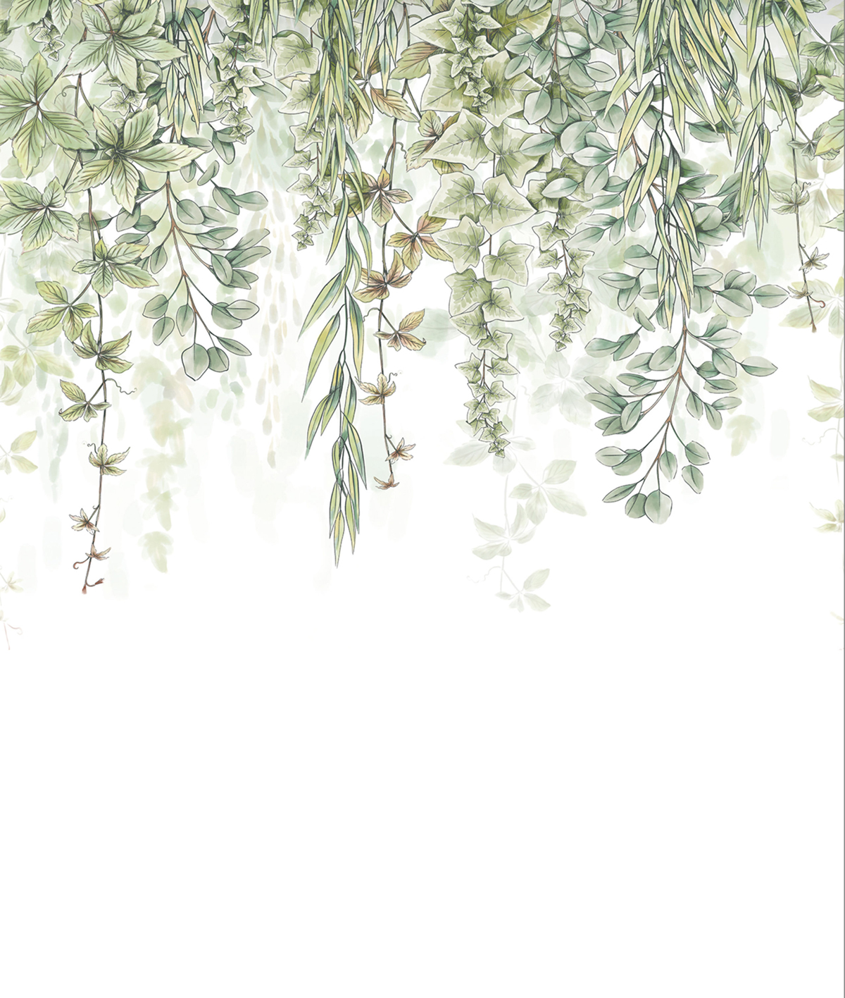 Papier peint panoramique Plante Tombante vert S 212 X 250 - Reliefs de Casélio | Réf. RLF106317025